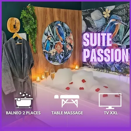 Passion - Jacuzzi Prive - Table Massage Apartamento Saint-Etienne (Loire)