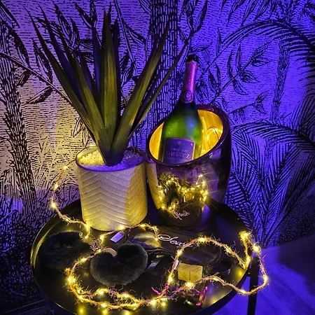 Suite Passion - Jacuzzi Prive - Table Massage Apartment Saint-Etienne (Loire)