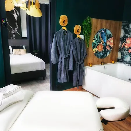 Suite Passion - Jacuzzi Prive - Table Massage Appartement Saint-Etienne (Loire)